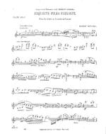Exquisite Polka Elegante. Solo for Flute or Piccolo or Cornet. Respectfully Dedicated to Mr. Charles A. Nager